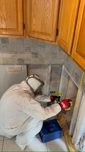 RBI 7 Group technician repairing kitchen mold damage