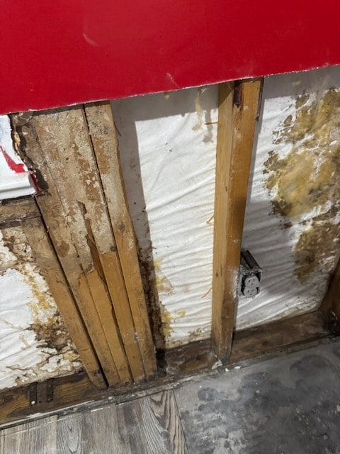 Water-damaged wooden framing with mold growth