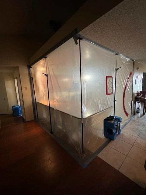 Mold remediation process